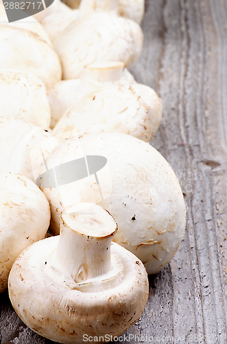Image of Frame of Raw Champignons