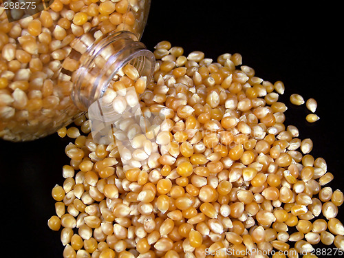 Image of Popcorn Kernels Pouring from the Container