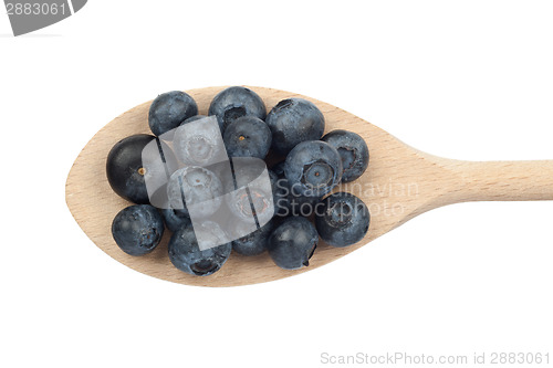 Image of Blueberries