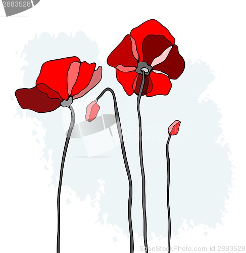 Image of Red poppies on a sky background