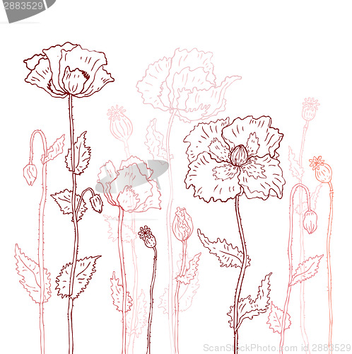 Image of Floral background. Hand drawn Poppies