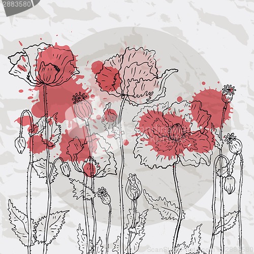 Image of Red poppies on a crumpled paper background