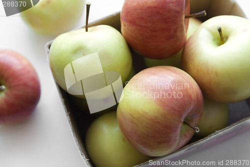 Image of 0002Apples