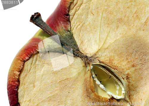 Image of Dried Apple