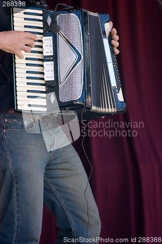 Image of Accordion
