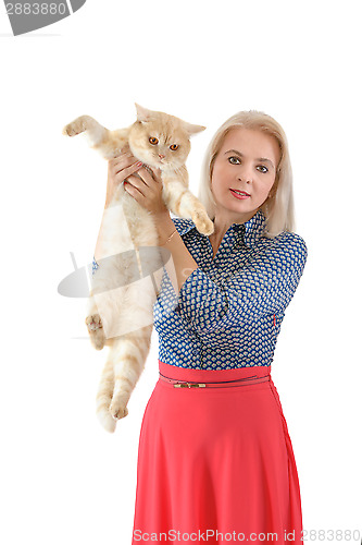 Image of Blonde and red cat