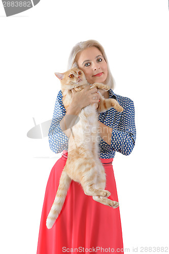Image of Blonde and red cat