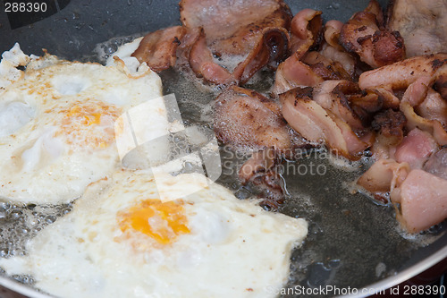 Image of Bacon And Eggs