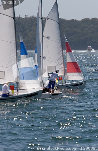 Image of Sailboat Tangle