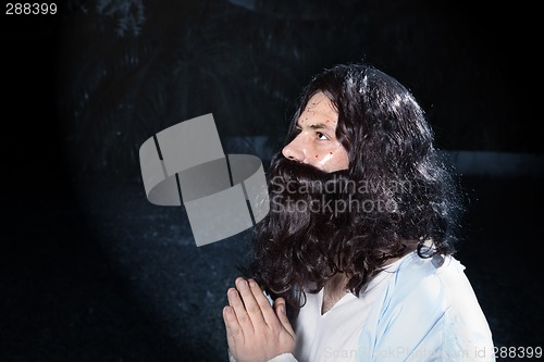 Image of Jesus in the garden of Gethsemane