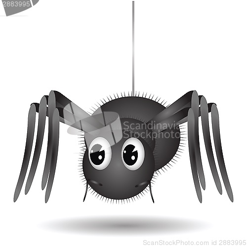 Image of Cartoon Spider 