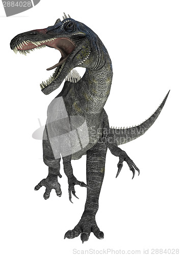 Image of Suchomimus Tenerensis