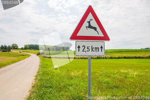 Image of Traffic sign for deer pass in nature