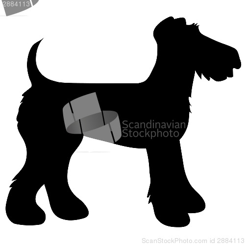 Image of Airedale Terrier Silhouette