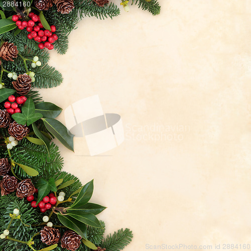Image of Winter Greenery Border