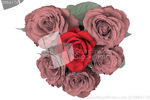 Image of Heart of roses
