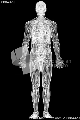 Image of X-ray view of full human body isolated on black 