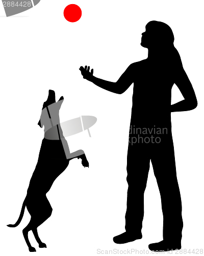 Image of Dog training