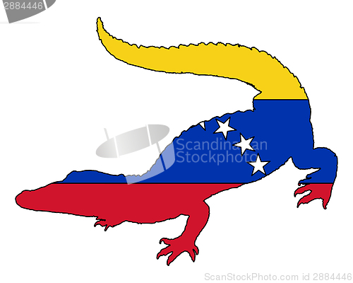 Image of Crocodile Venezuela