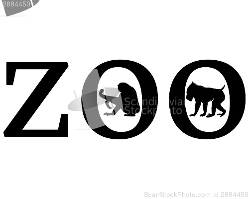 Image of Zoo animals