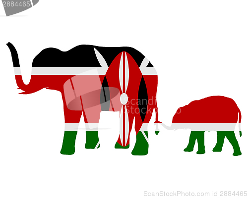 Image of Kenya elephants