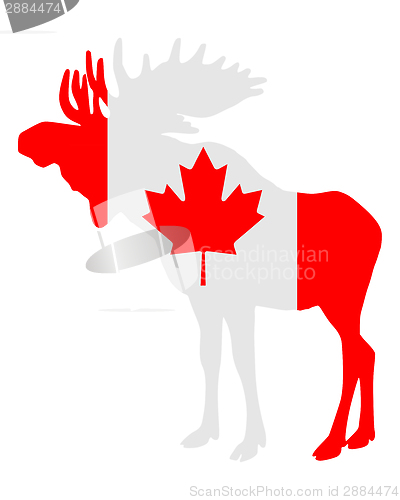 Image of Mosse in flag of canada