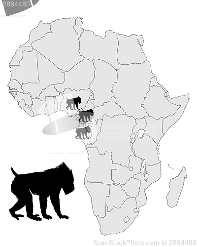 Image of Mandrill range map