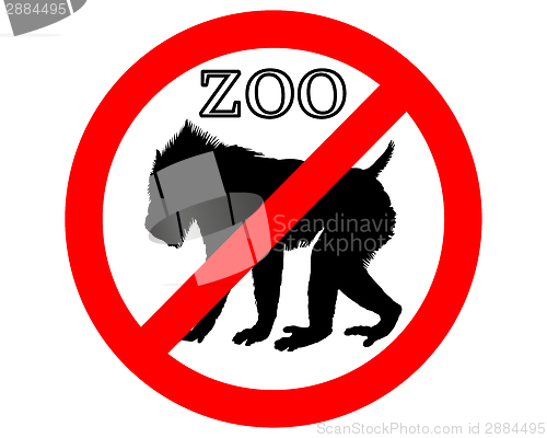 Image of Mandrill in zoo prohibited