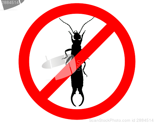 Image of Earwig prohibited