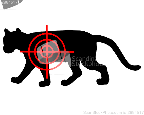 Image of Cougar crosslines