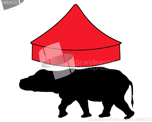 Image of Hippo in circus