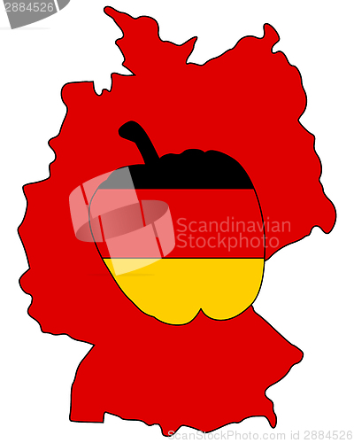 Image of German Capsicum