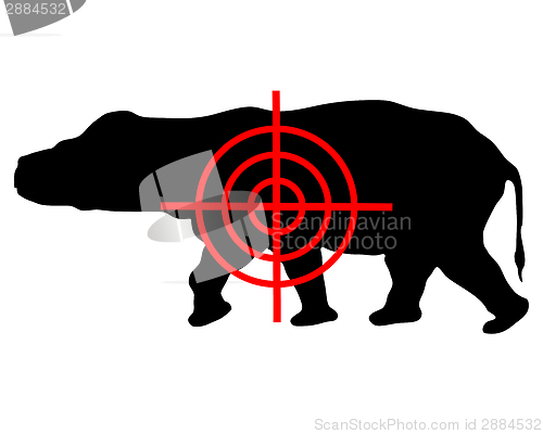 Image of Hippo crosshair