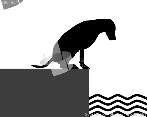 Image of Dog at the shore
