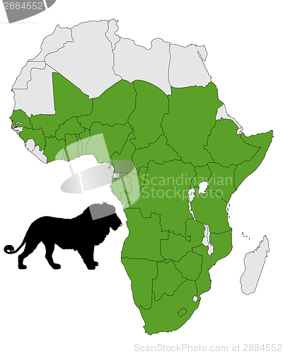 Image of Distribution map lion