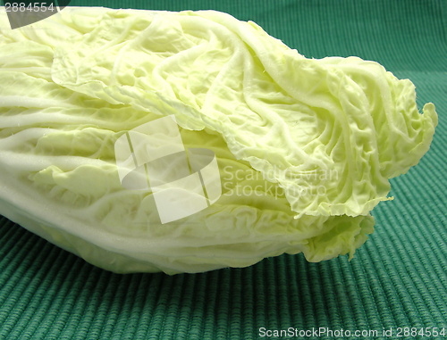 Image of Chinese cabbage on a green rough background