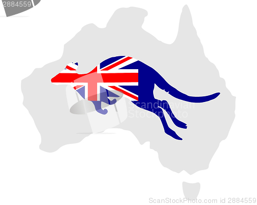 Image of Australian kangaroo