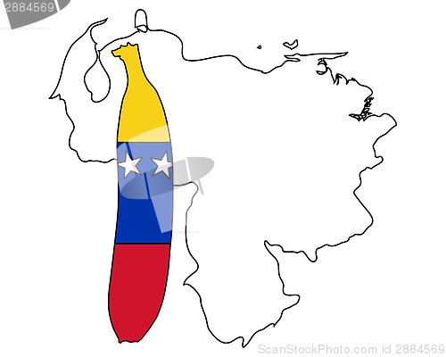 Image of Banana of Venezuela