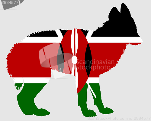 Image of Jackal from Kenya