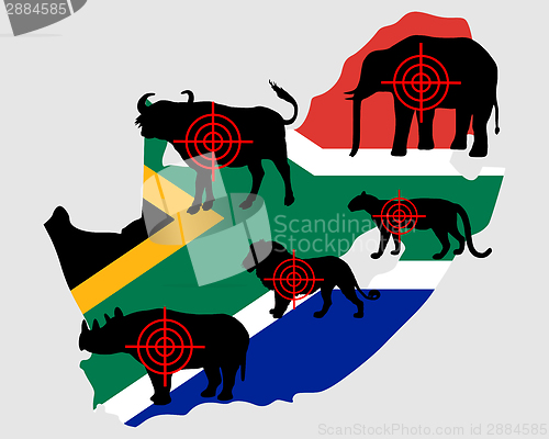 Image of Big Five South Africa cross lines