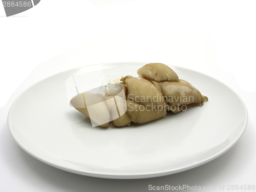 Image of Oyster mushrooms on a white plate of chinaware