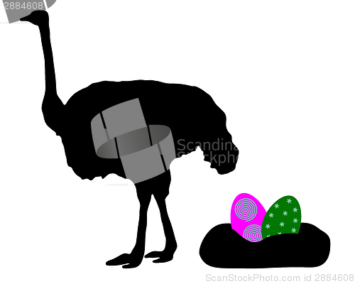 Image of Ostrich with easter eggs
