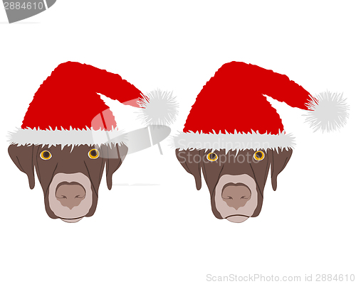 Image of Two dog heads with red santa claus caps