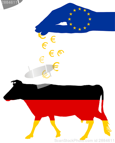 Image of German cow and european subsidies