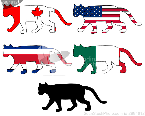 Image of Cougar flags