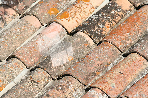 Image of Ancient Roof tiles