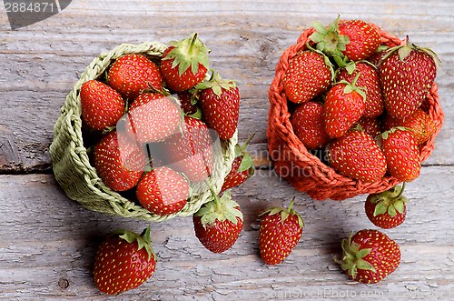 Image of Forest Strawberries