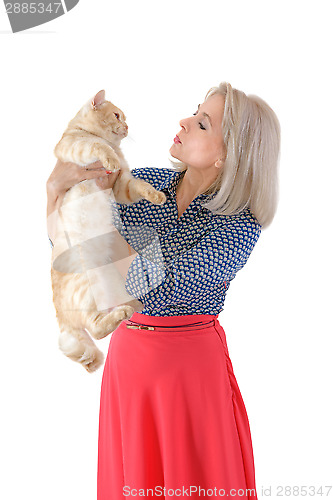 Image of Blonde and red cat