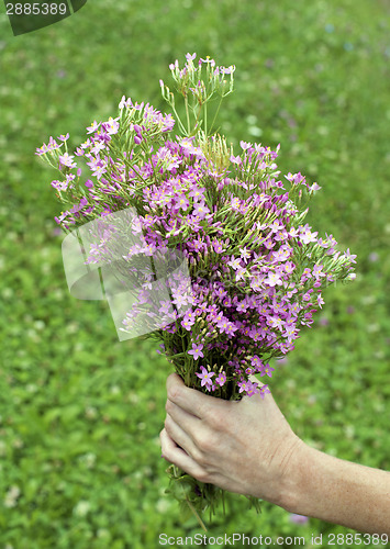 Image of Holding flowers