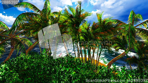 Image of Paradise on Hawaii Island